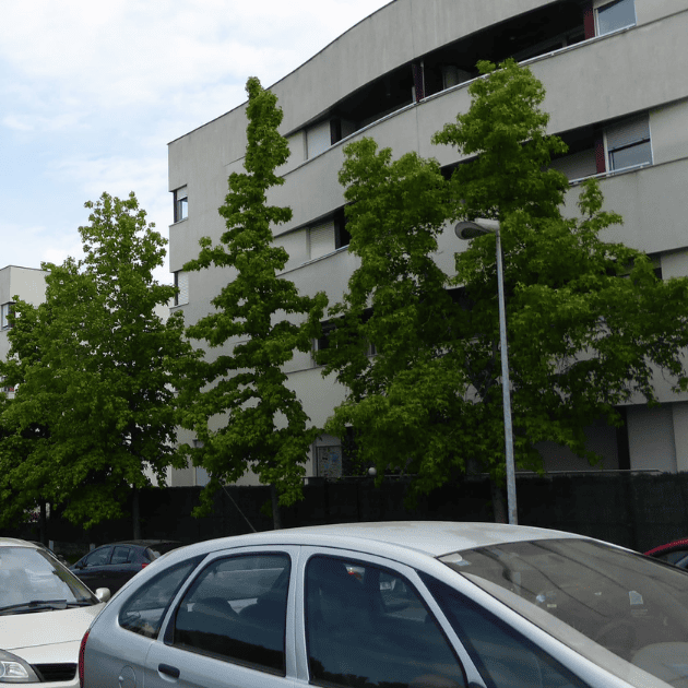 Arantza Gomez / Agencia Inmobiliaria en Pamplona