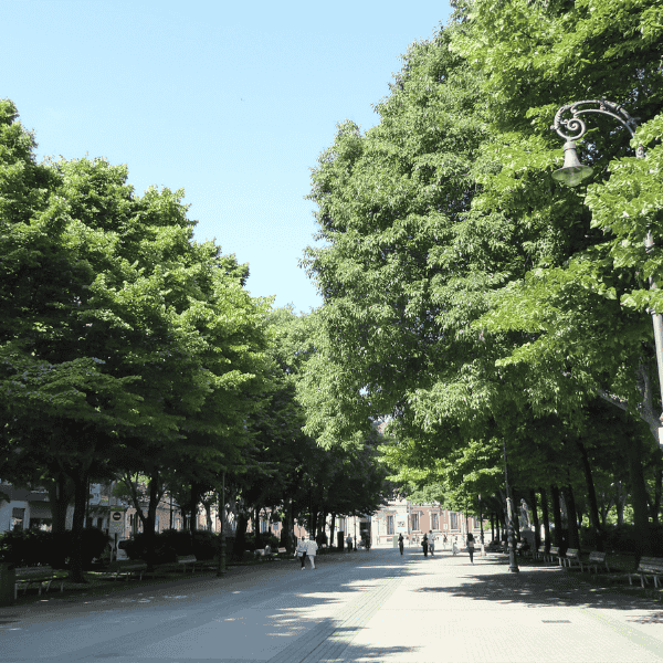 Conoce el precio por metro cuadrado de tu piso en Pamplona. Arantza Gomez / Agencia Inmobiliaria en Pamplona