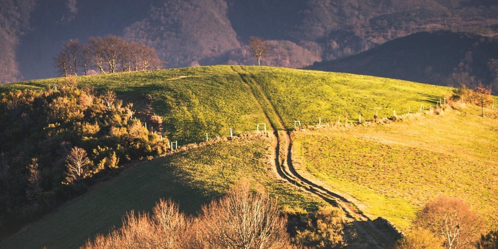¿Qué buscan las Familias que se decantan por la vida rural en Navarra?