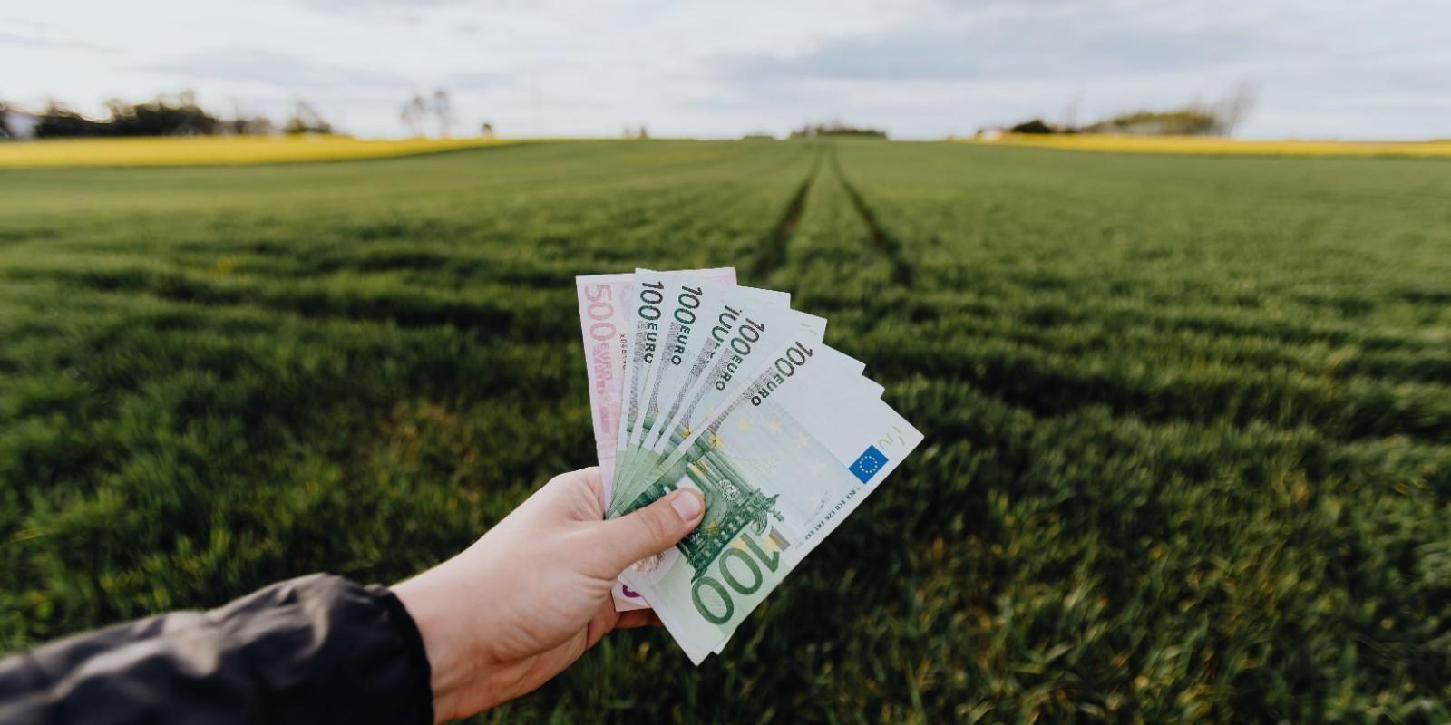 Invierte en tu Futuro: La Ventaja de Comprar un Terreno en Navarra para Construir tu Casa